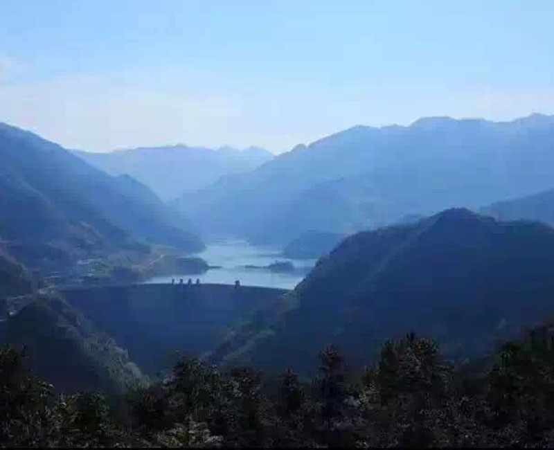 中豹丹山赤水间